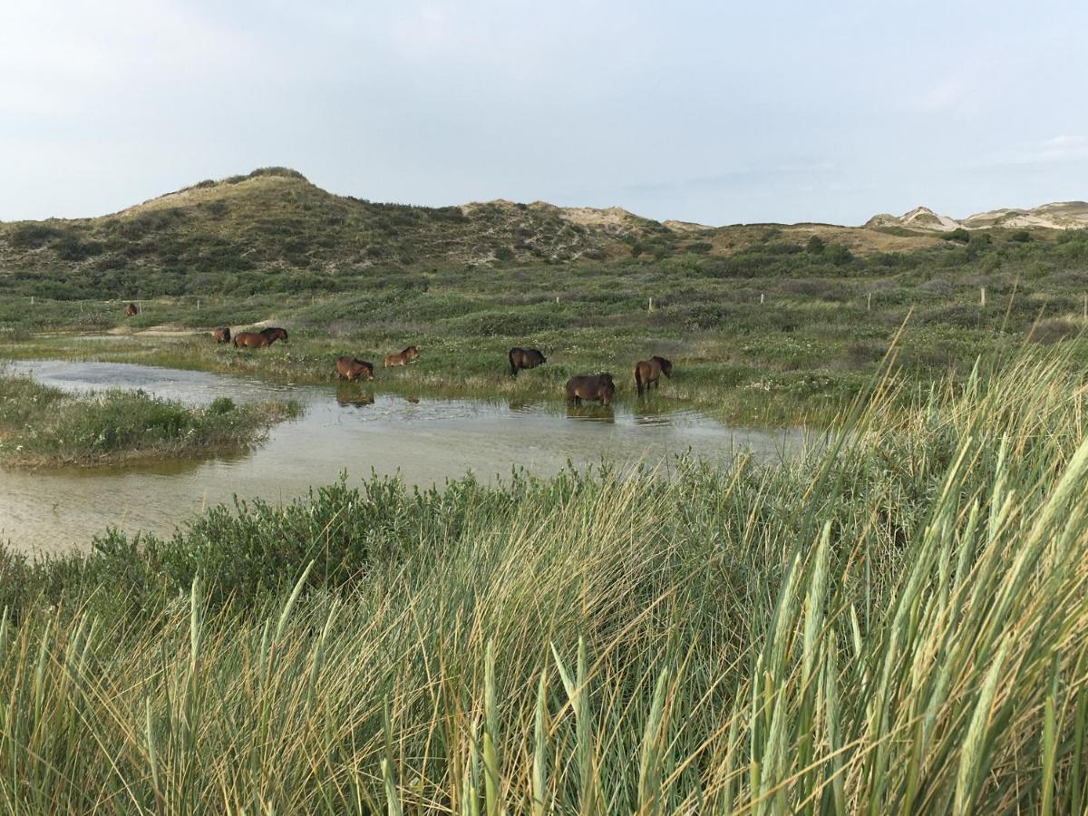 De Duinlopers - Studio Appt Bries - Strand, Duinen En Nabij Cultuur Steden กัสตรีกุม ภายนอก รูปภาพ