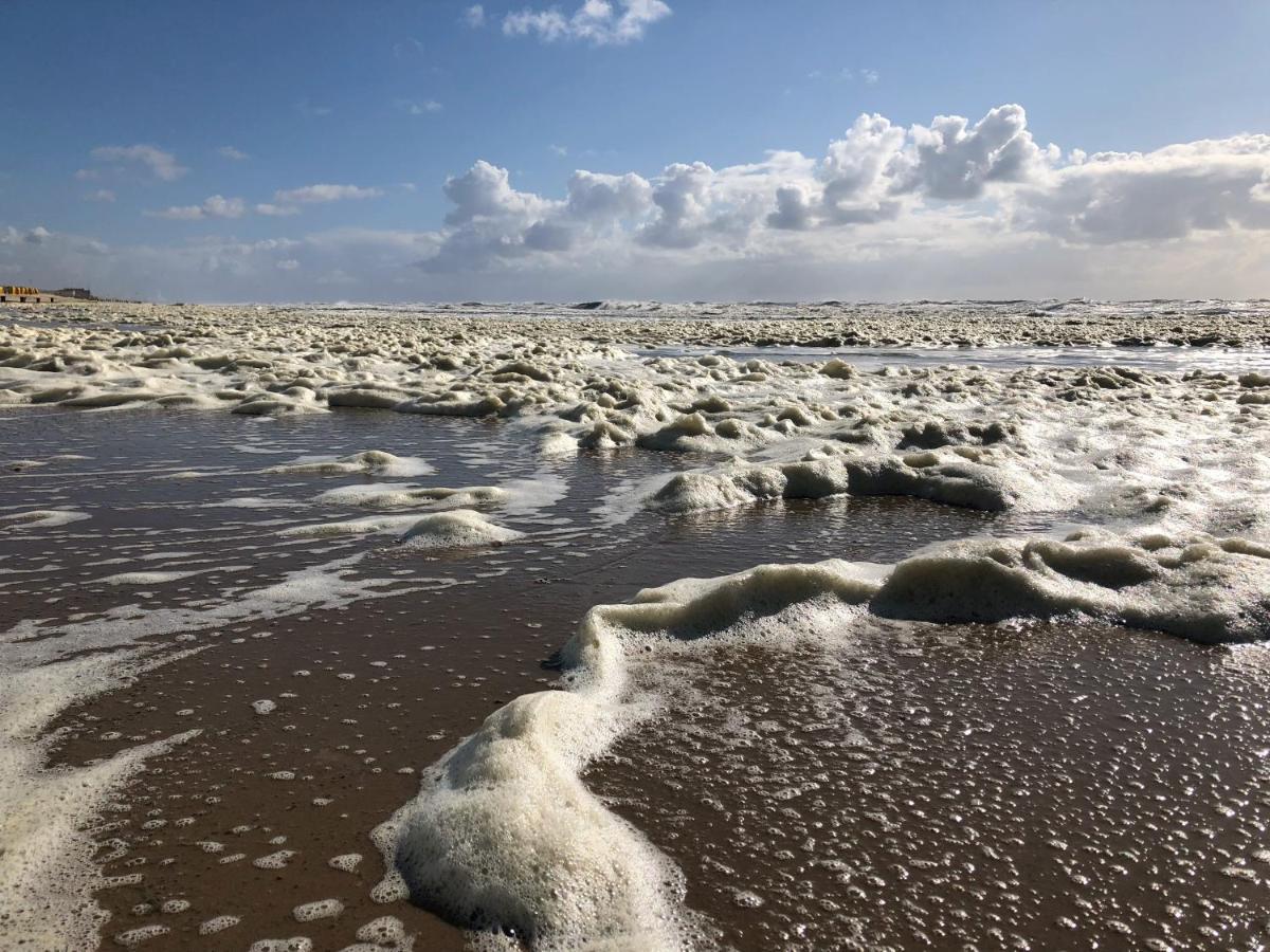 De Duinlopers - Studio Appt Bries - Strand, Duinen En Nabij Cultuur Steden กัสตรีกุม ภายนอก รูปภาพ